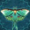 Green Luna Moth Art paint by number