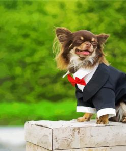 Long Haired Chihuahua Wearing Suit paint by number