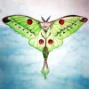 Luna Moth paint by number