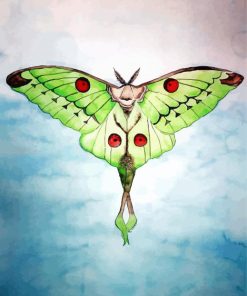 Luna Moth paint by number