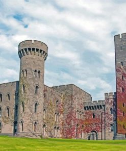 National Trust Penrhyn Castle And Garden Snowdon paint by number