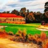 Pinehurst Paint by number