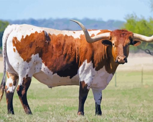 Texas Longhorns paint by number