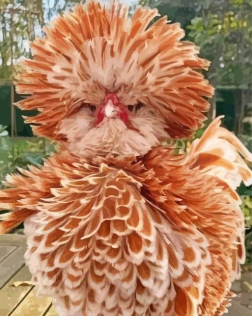 Adorable Frizzle Chicken paint by number