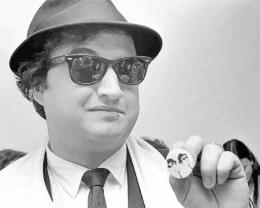 Aesthetic John Belushi paint by number