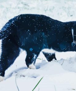 Black Cat And Snow paint by number