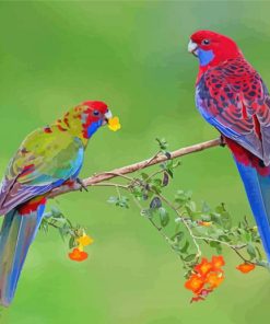 Cute Rainbow Birds On Tree Branch paint by number