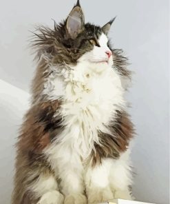 Fluffy Norwegian Cat paint by number