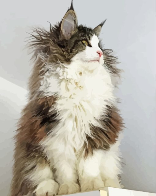 Fluffy Norwegian Cat paint by number