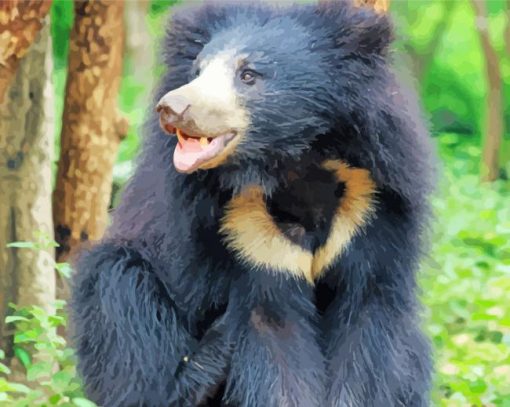 Happy Sloth Bear paint by number