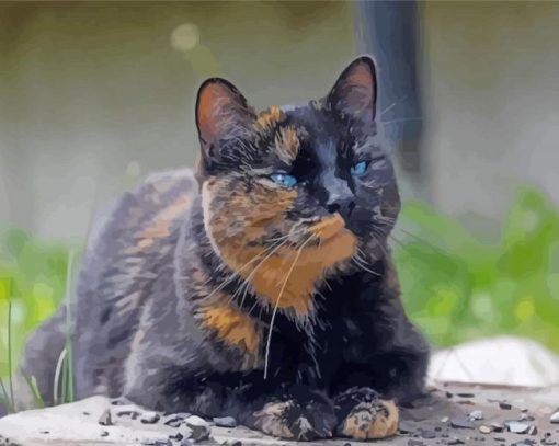 Lonely Tortoise Shell Cat paint by number