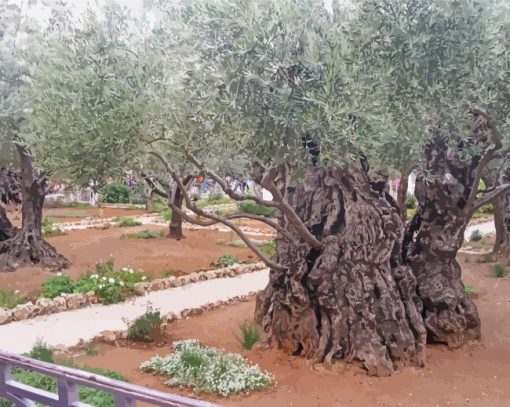 Old Trees In Garden Of Gethsemane paint by number