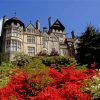 Red Flowers Cragside paint by number