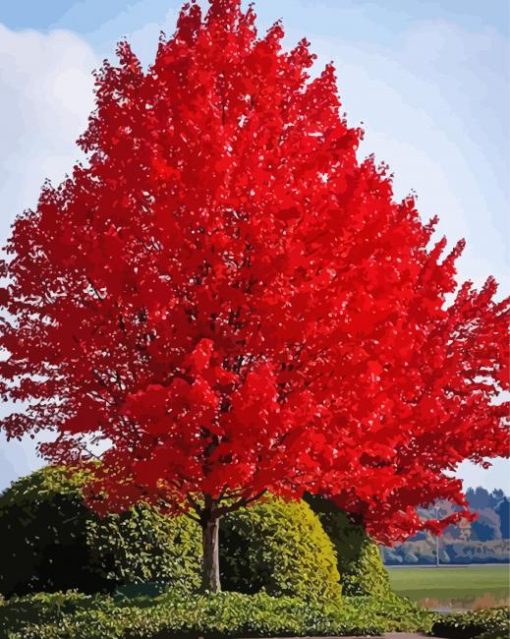 Red Tree paint by number