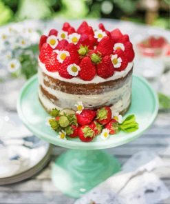 Strawberry And Daisies Cake paint by number