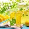 Summer Fresh Lemonade Drink paint by number