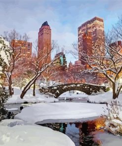 Wintery Scene New York paint by number