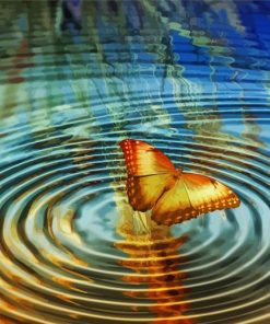 Butterfly On Water paint by number