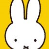 Miffy Animation Character paint by number