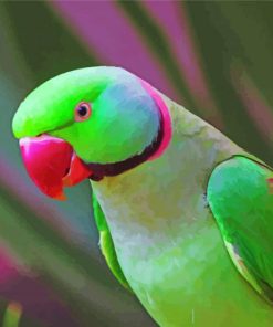 Ringneck Parrot paint by number