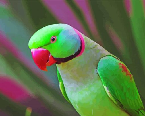 Ringneck Parrot paint by number