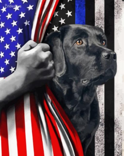 Aesthetic Black Lab With Flag paint by number