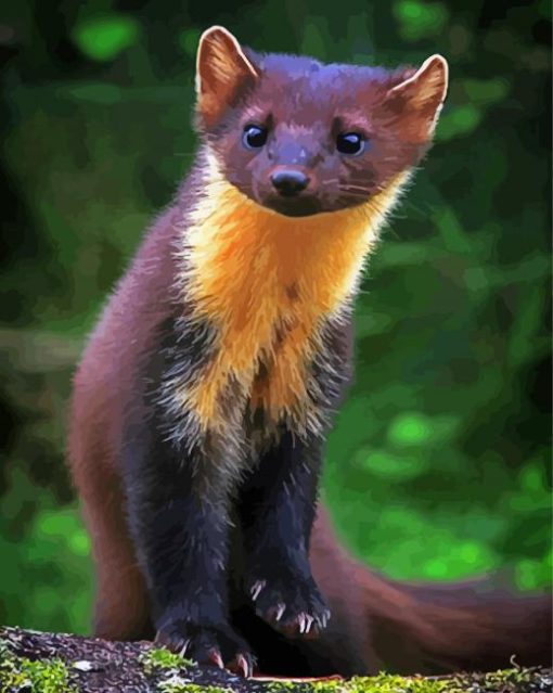 Aesthetic Marten Animal paint by number