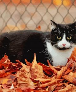 Autumn Leaves With Black Cat paint by number