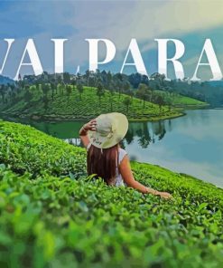 Valparai Poster Paint By Numbers