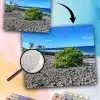 Paint By The Numbers Custom Landscape main