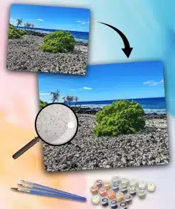 Paint By The Numbers Custom Landscape main