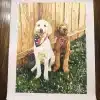 Painting By Numbers Custom Pets gall 1
