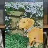 Painting By Numbers Custom Pets gall