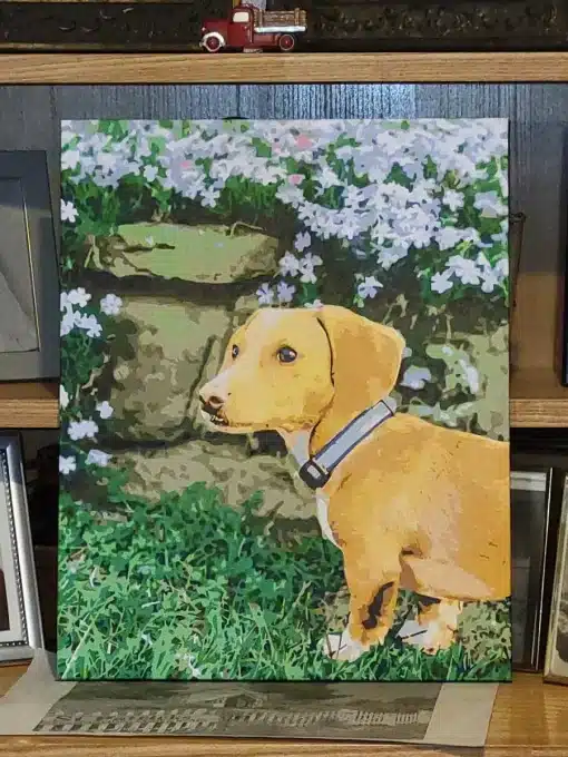 Painting By Numbers Custom Pets gall