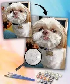 Painting By Numbers Custom Pets main