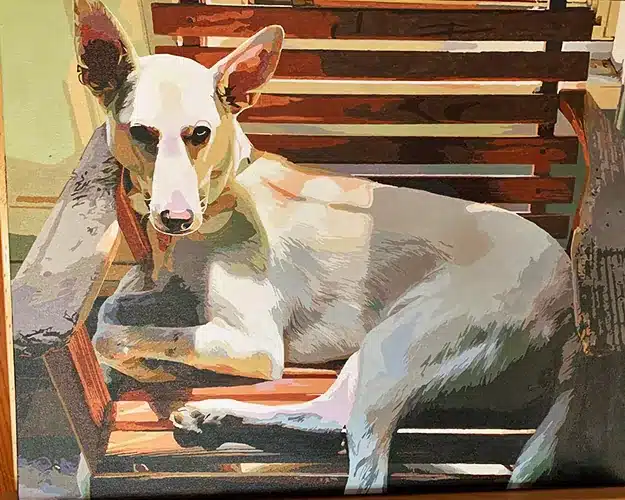 Painting By Numbers Custom Pets review 3