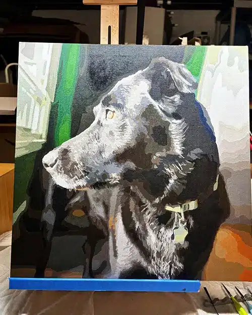 Painting By Numbers Custom Pets review 4
