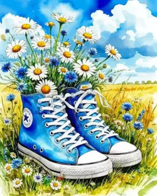 Blue Shoes Paint By Numbers