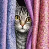Curtain Cat Paint By Numbers